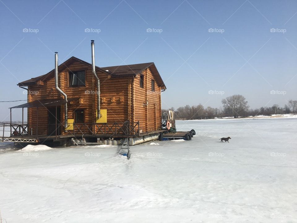 Little doggy walking on the snowy lake 