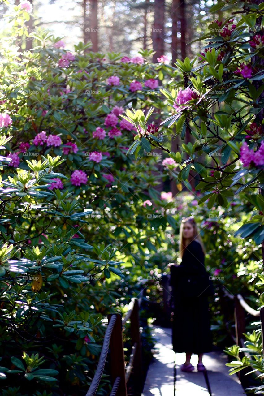 Walking in paradice with my daugter, Haaga alpine rose park at Helsinki Finland