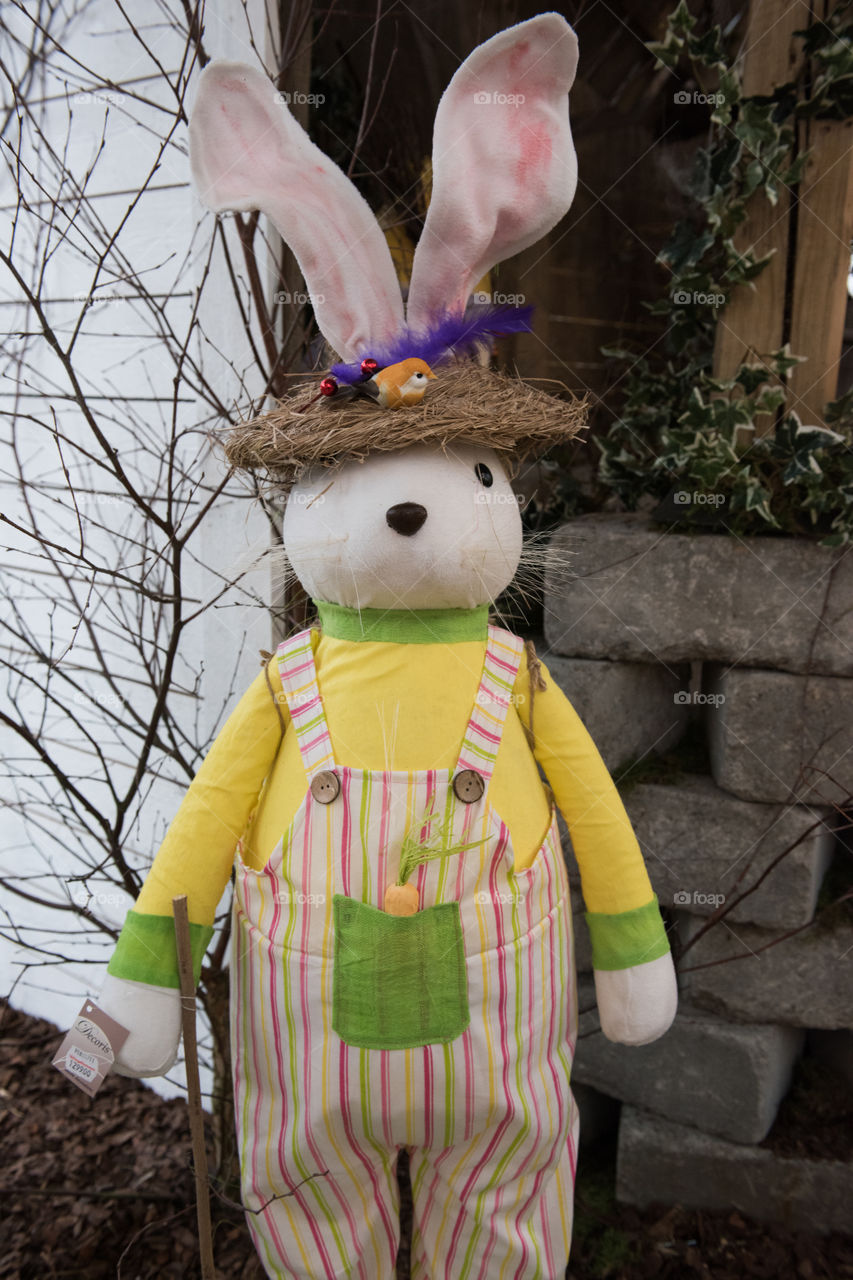 Easter bunny at a local store.