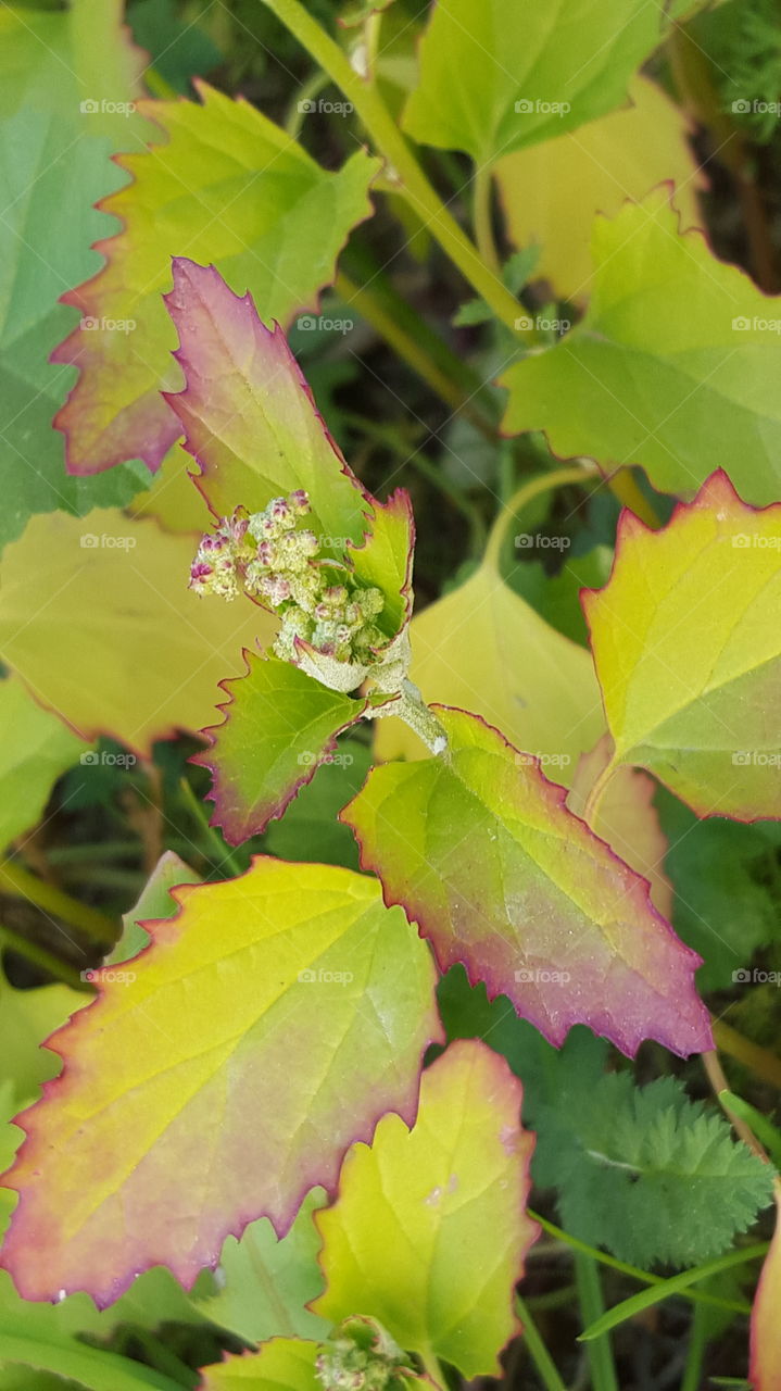 Beauty in everything