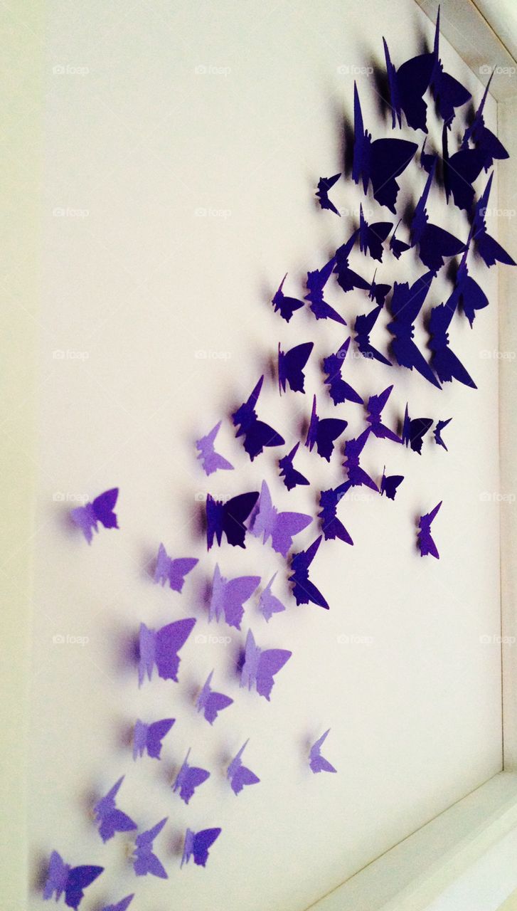 Butterfly . Paper butterfly's 