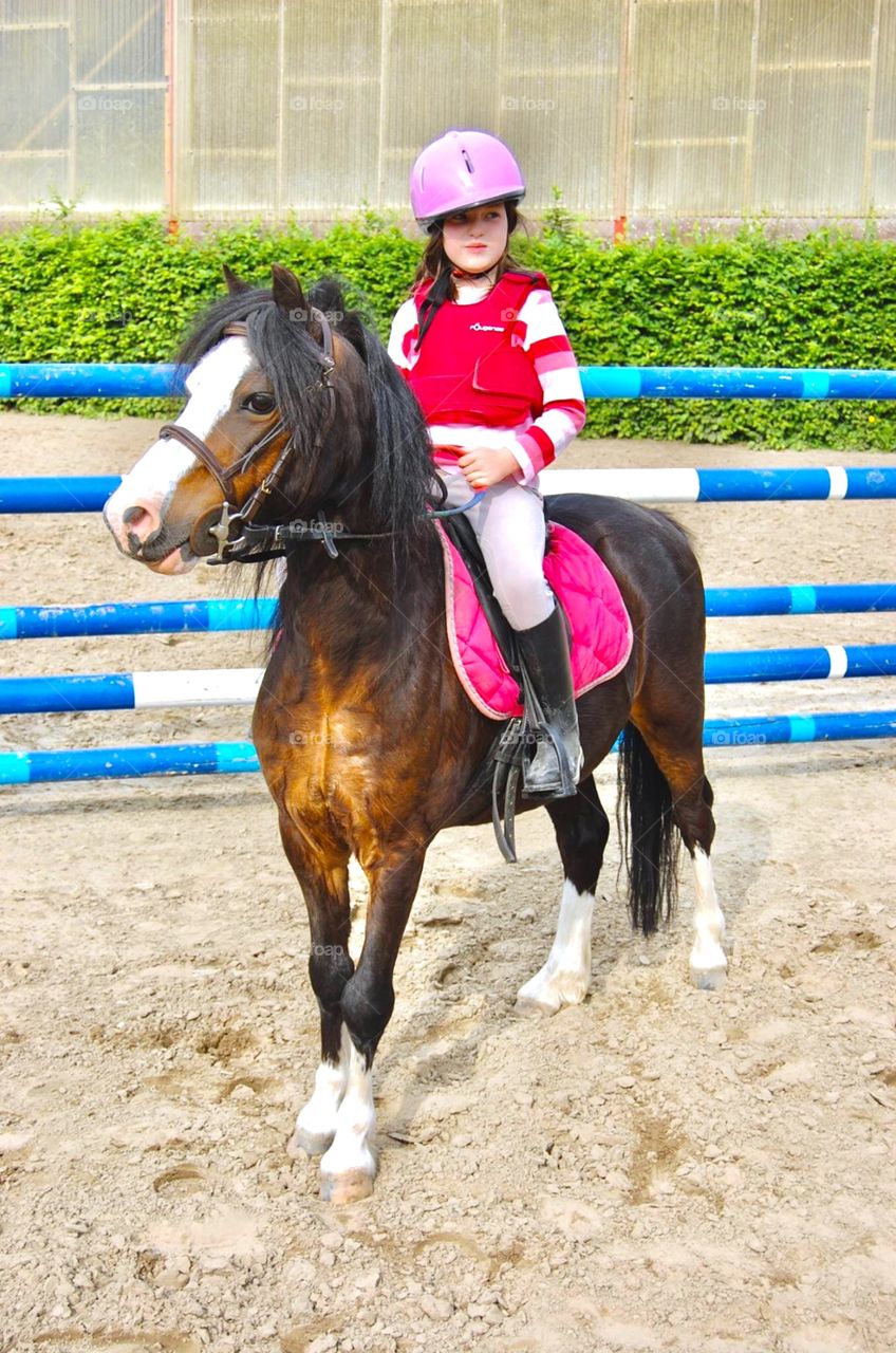 This little girl just took her first lesson with this cute little welsh pony! The beginning of a great friendship! 