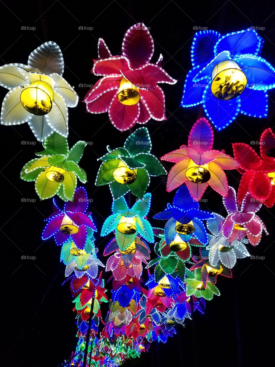 Flower Lights