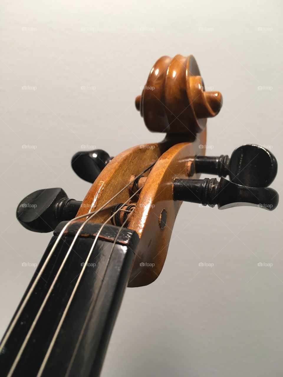 Violin
