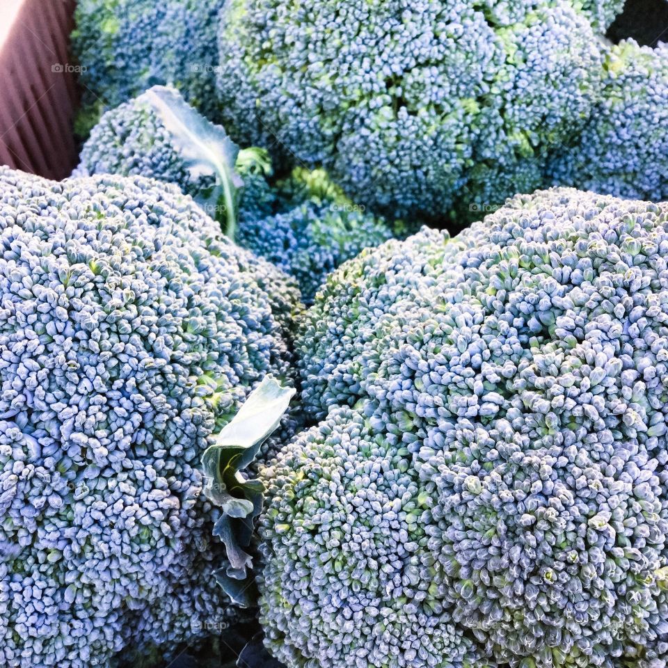 Vegetables Cabbage Green 