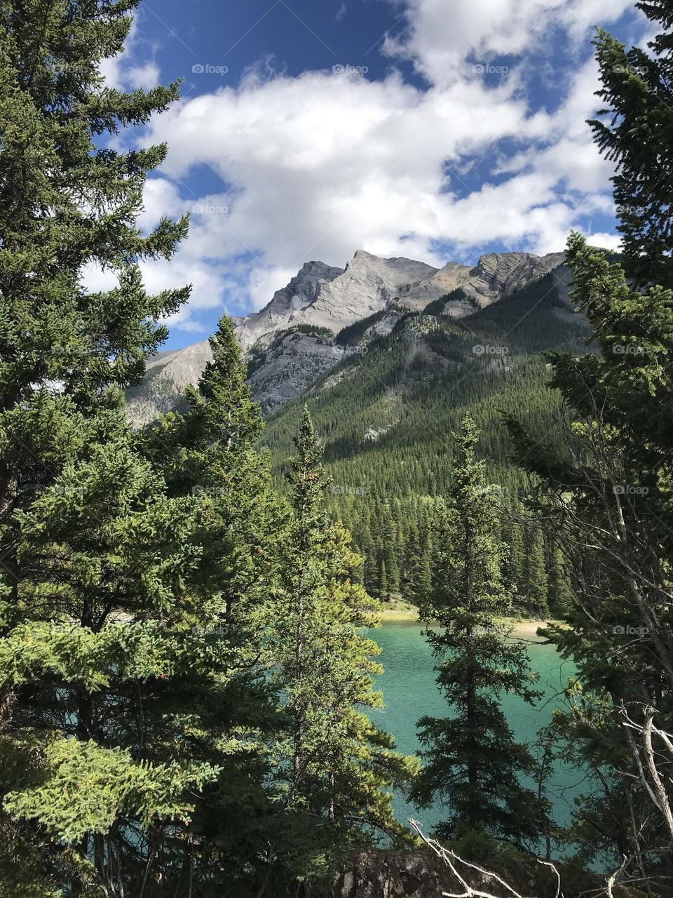 A full scene of conifers, mountains, lake and cloudy blue sky.