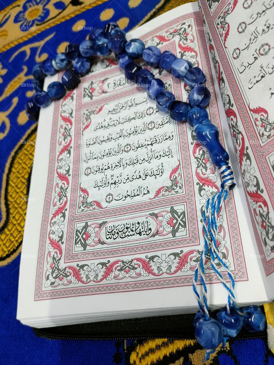 Quran reading