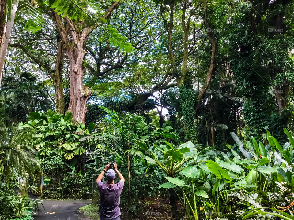 At Hawaii Tropical Botanical Garden