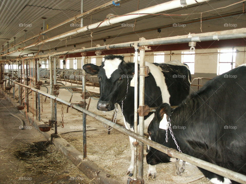 Hearts show up anywhere....