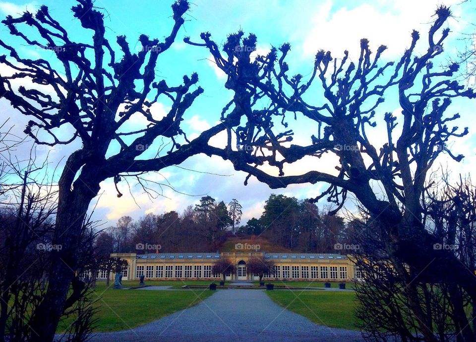 sweden trees 1900 century building by anetteaventyr