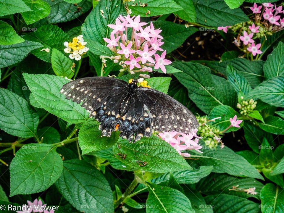 Rodger Williams Park Zoo
Providence RI
