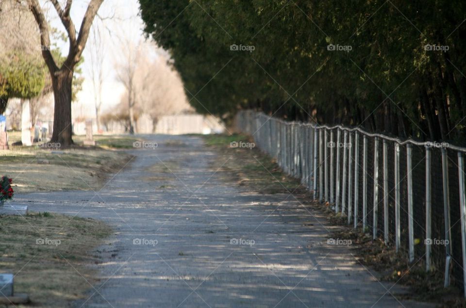 Country path 