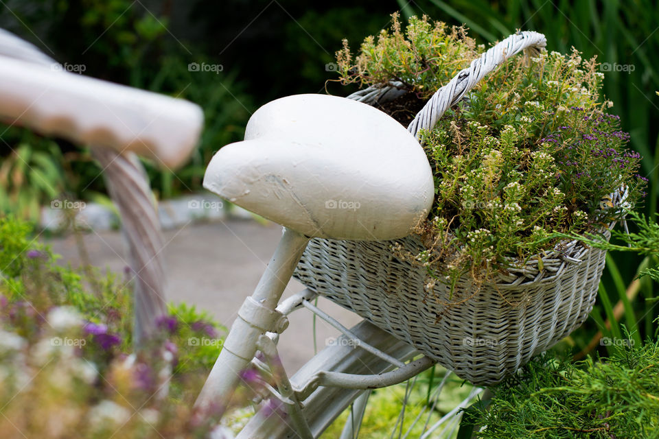 old bicycle in garden. gardening ideas with vintage bicycle painted in white