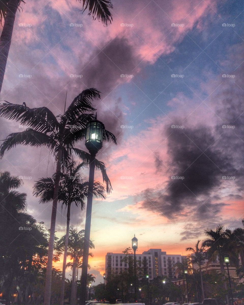 Florida sunsets are everything 