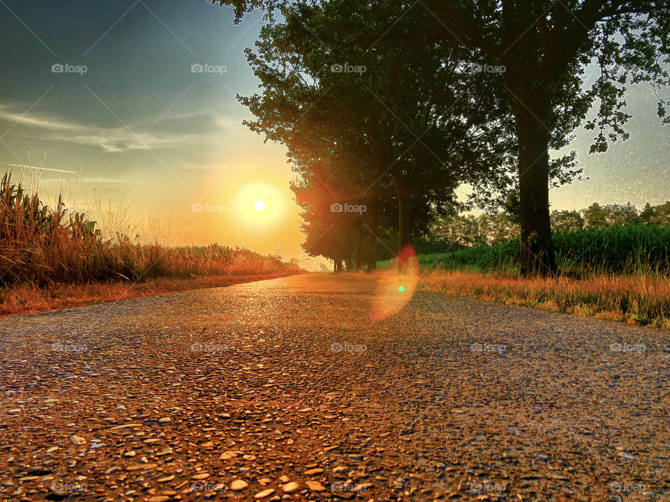 Sunrise road 