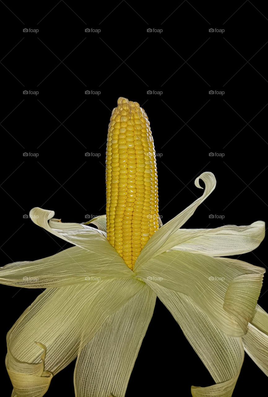 corn