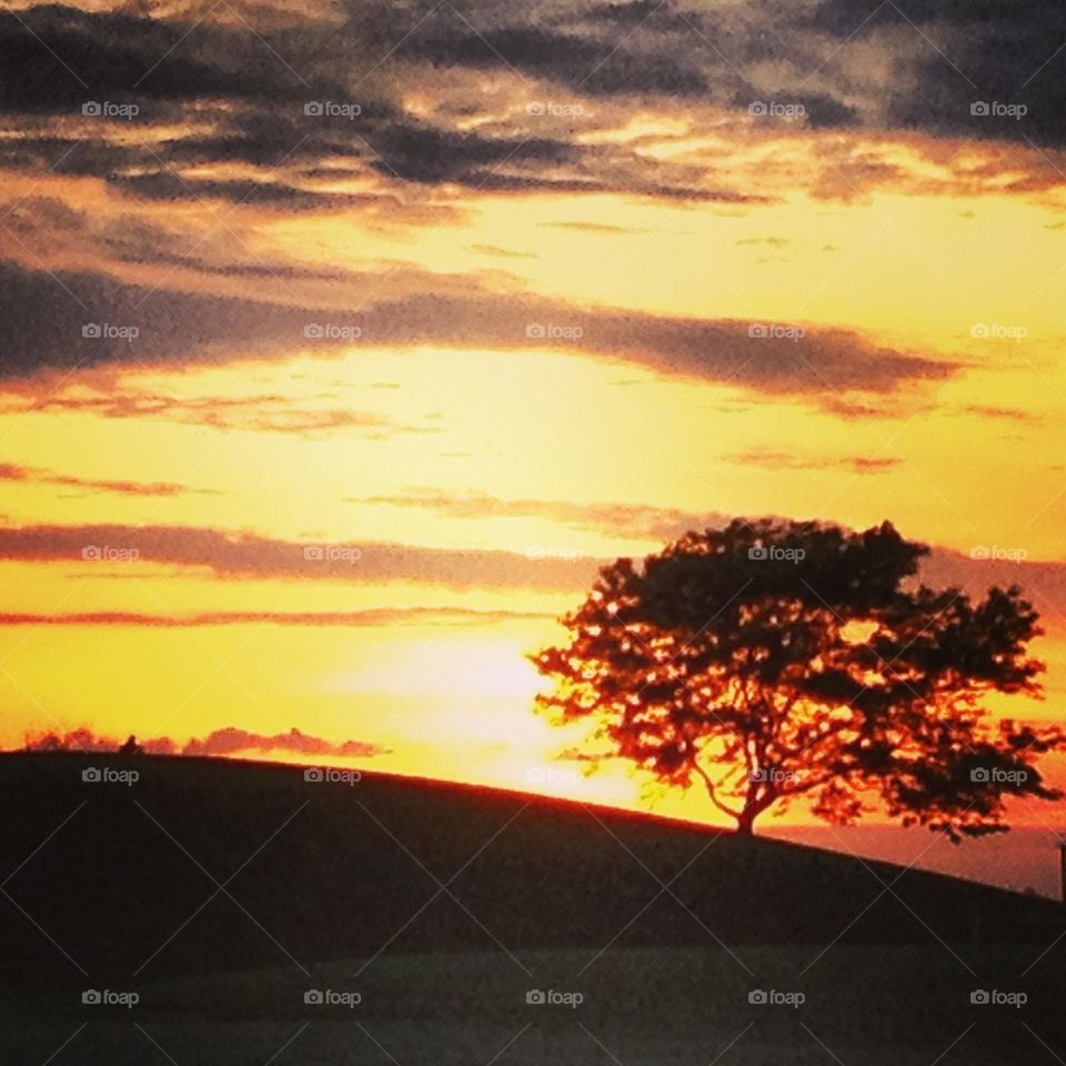 Sunset on a hill with a single, lonesome silhouetted tree breaking the