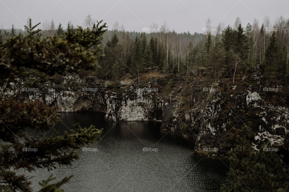 nature in russia / forest and lake