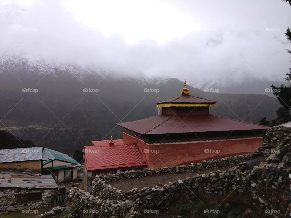 enjoy trekking