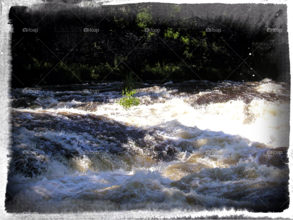 vatten fors mörrumsån nature by kalubro
