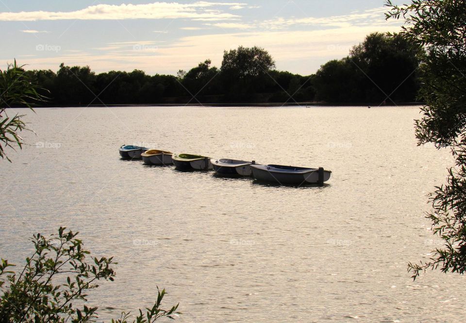 on the lake