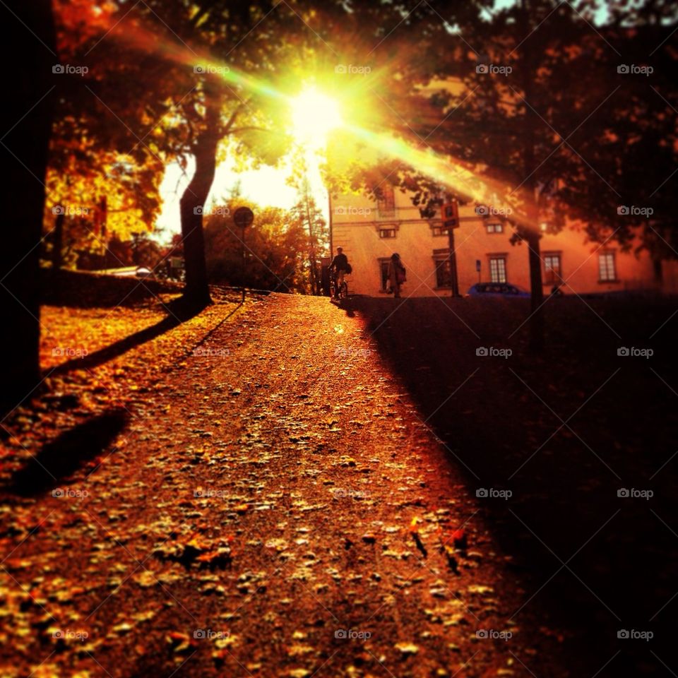 Easy going upp hill.