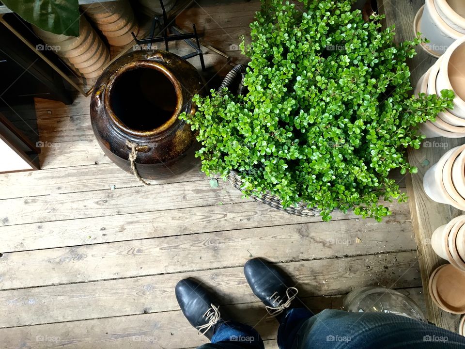 Flowers, pots, shoes, wood