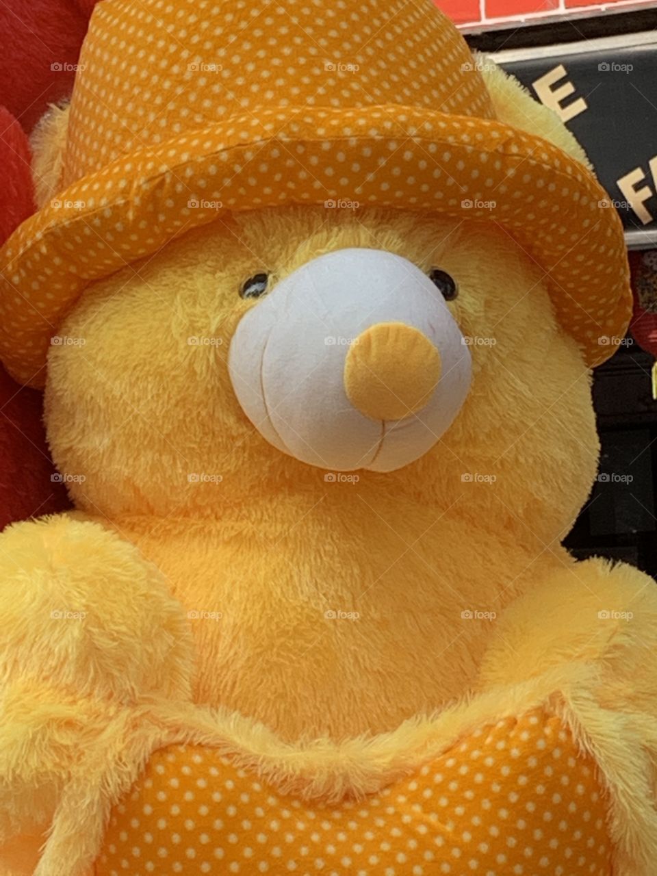 What makes you smile 