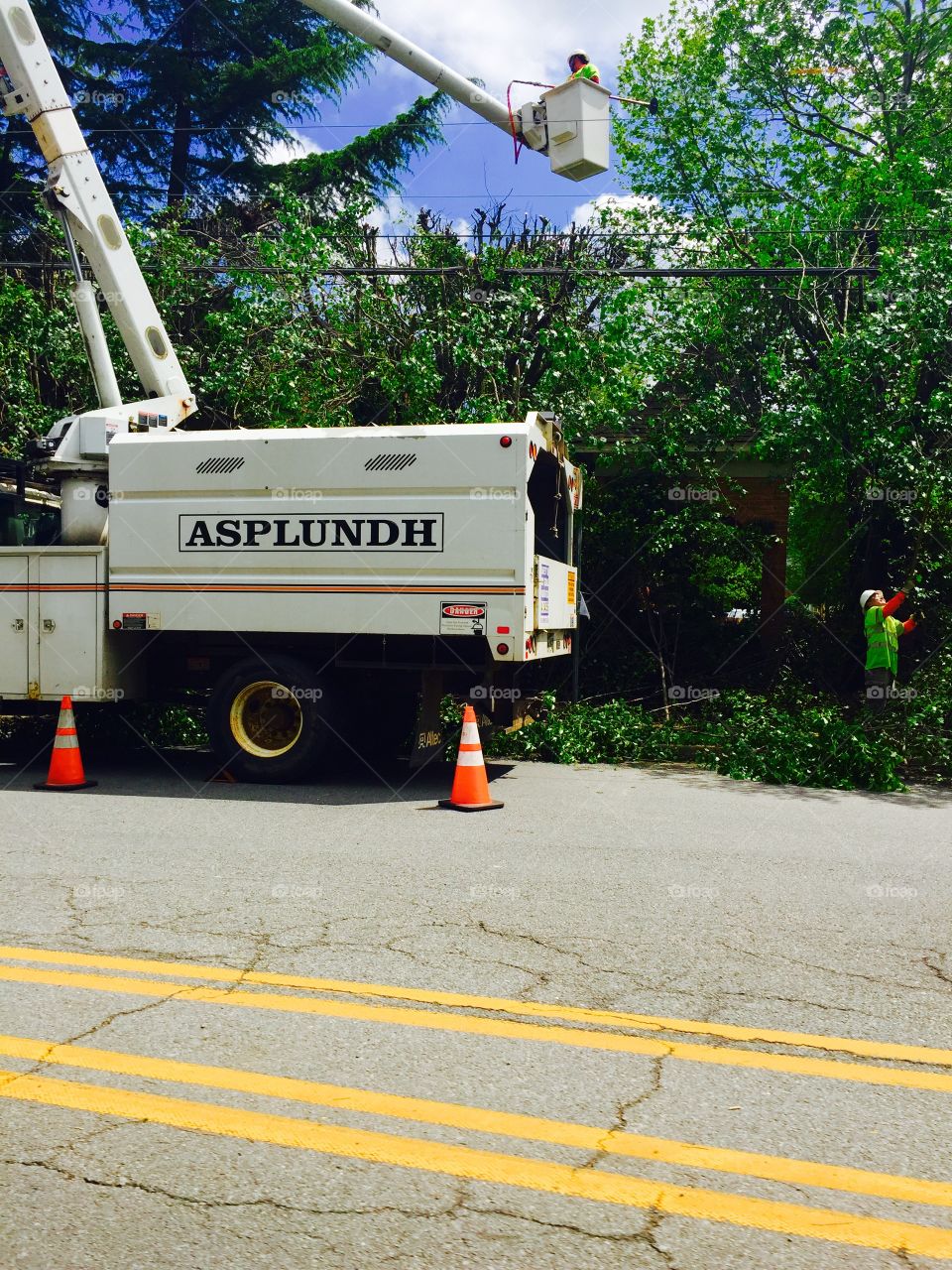 Asplundh truck tree removal road side trimming construction 