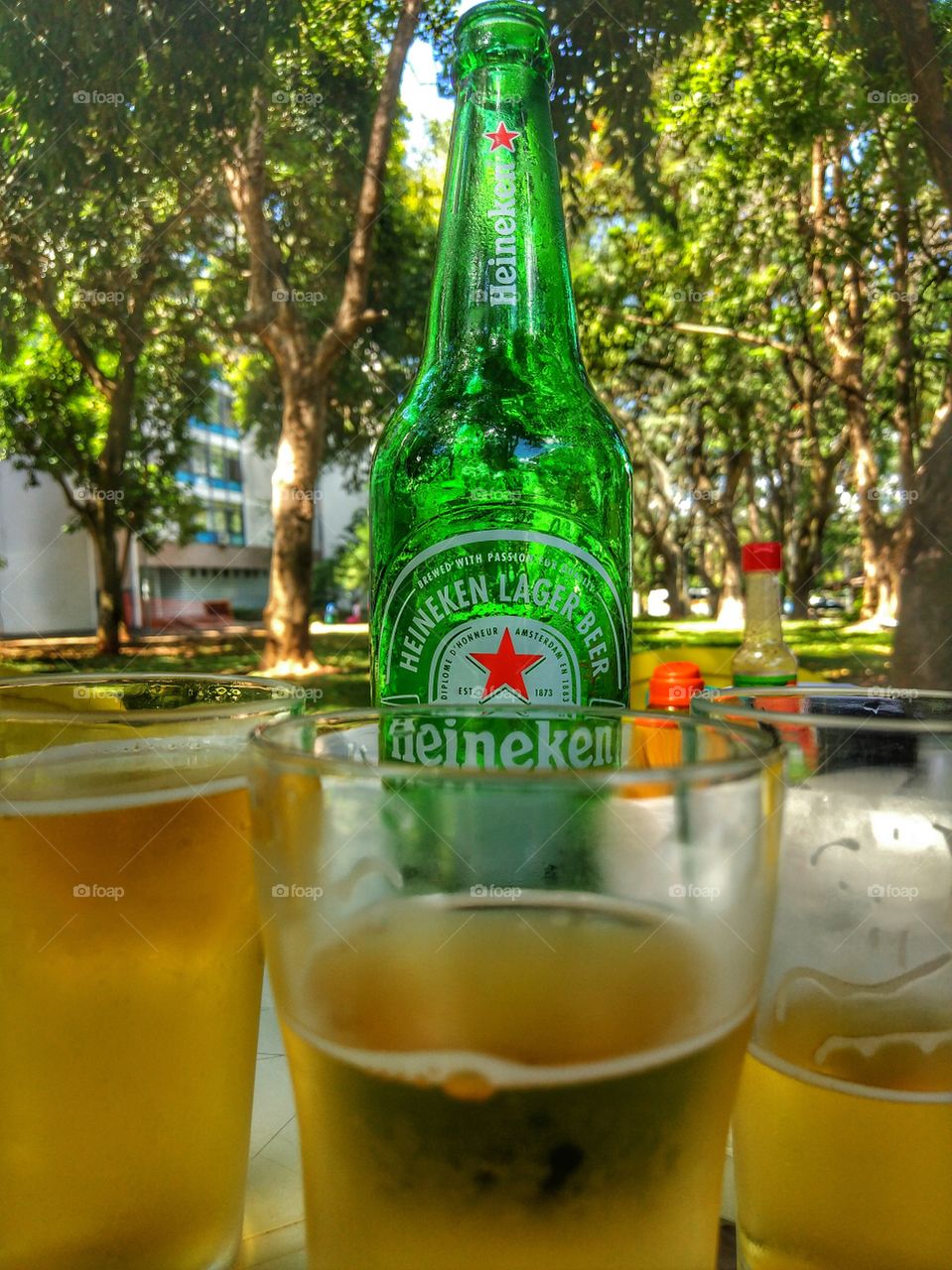 bebida cerveja Heineken