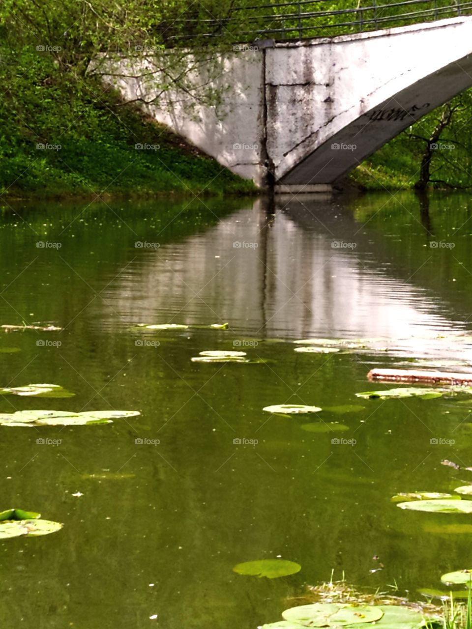 Part of the white bridge that is reflected in the water