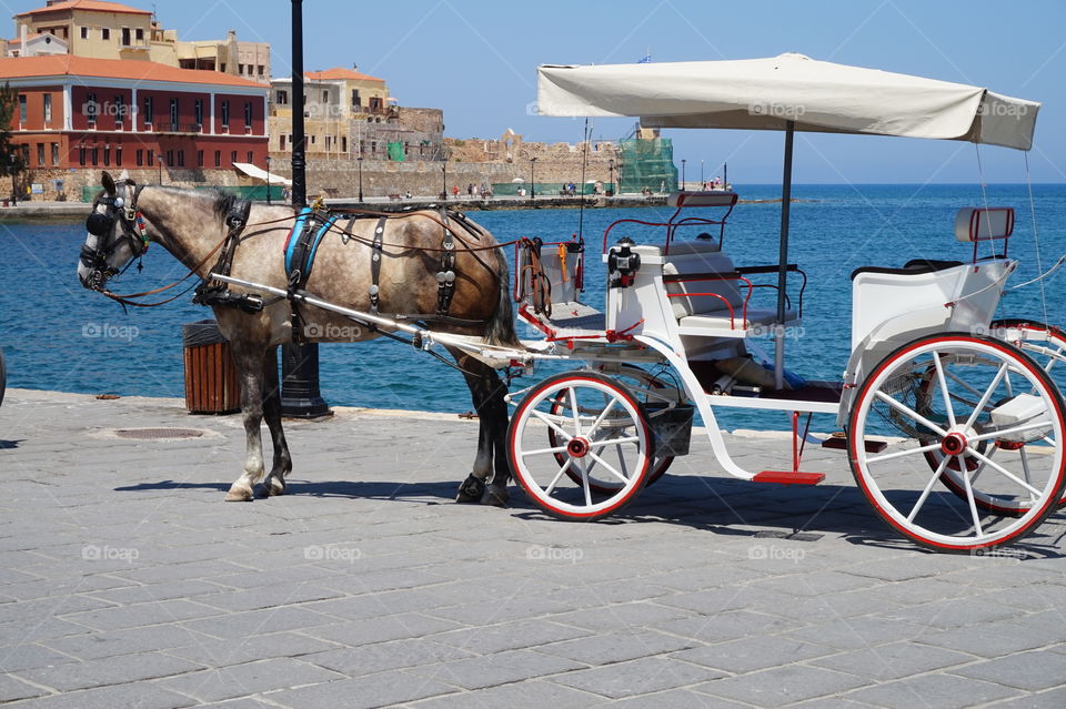 Horse & Cart, Chania Harbour Crete, Greece