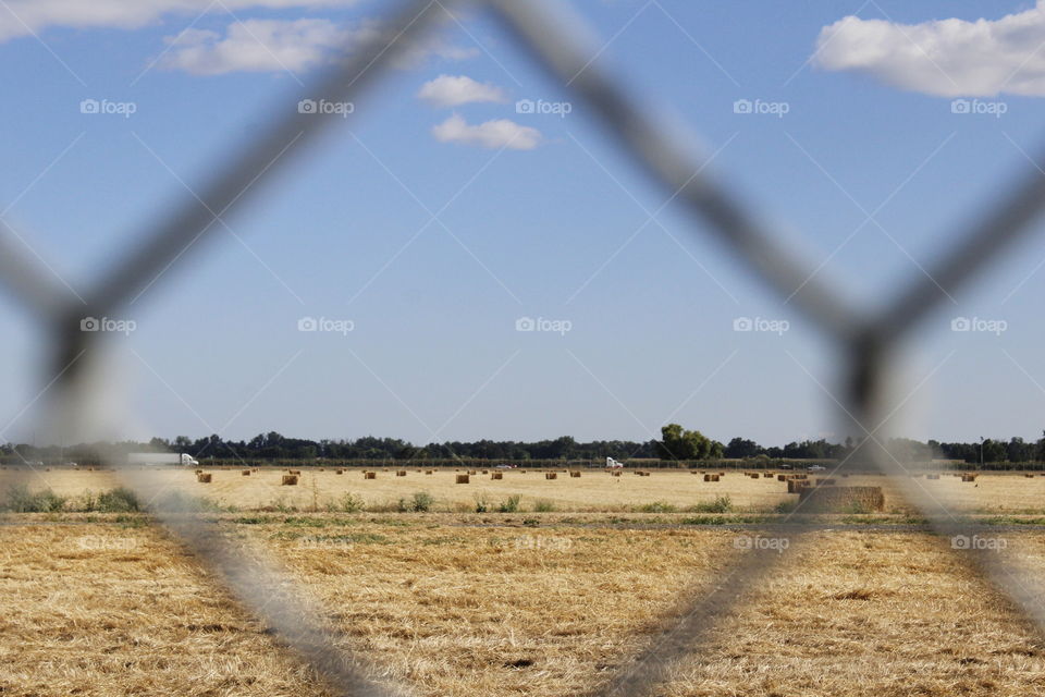 bales of hay