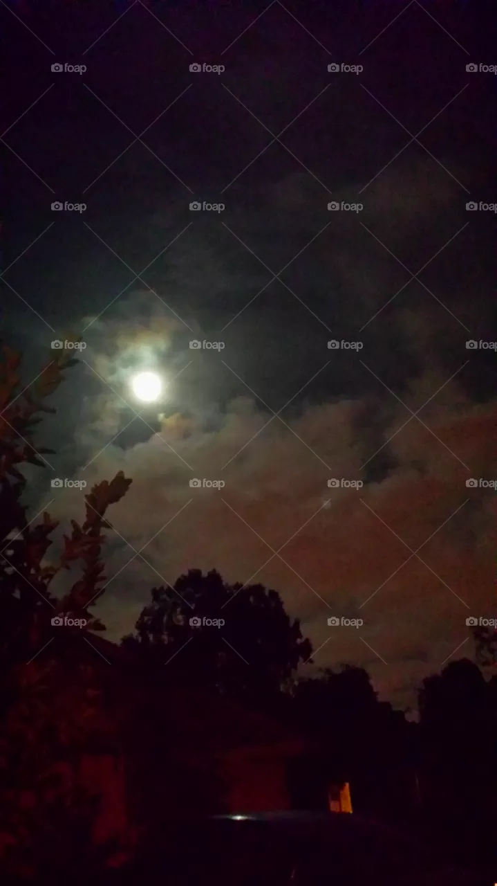 "Full Moon"