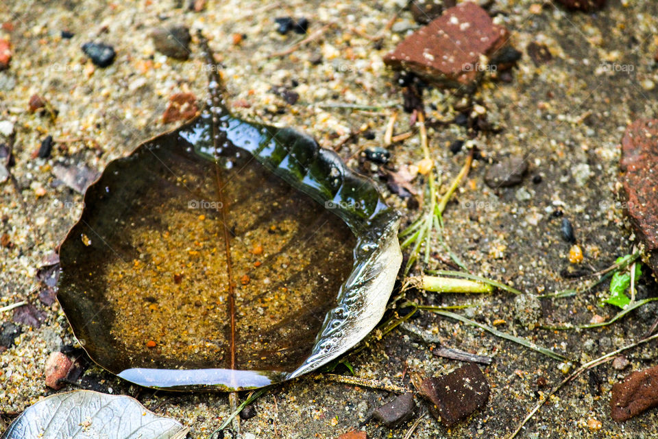 Please save water for future