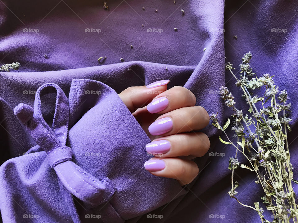 Female hand with purple manicure on purple textile background white purple lavender branches 