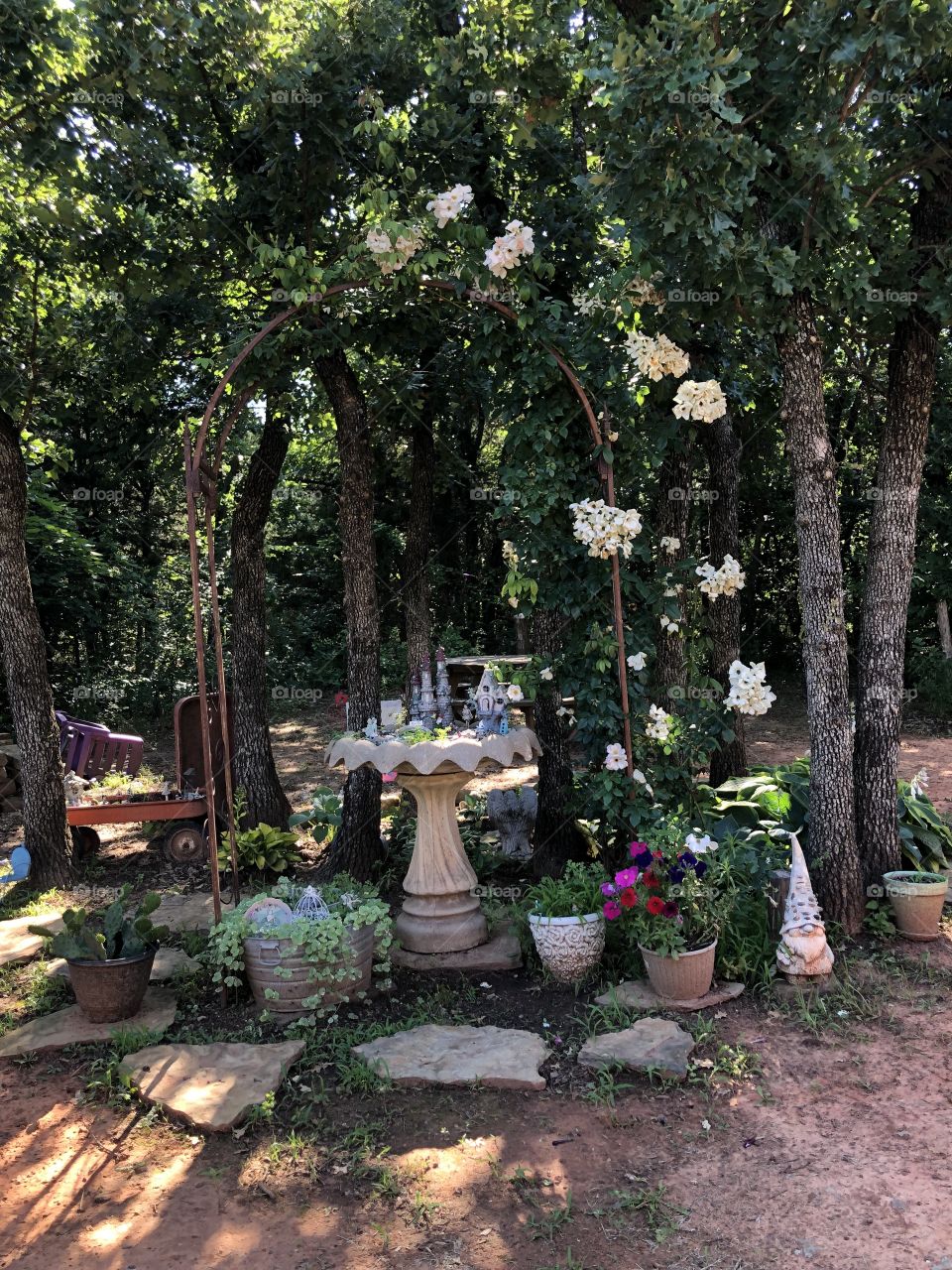 Rose Arbor 