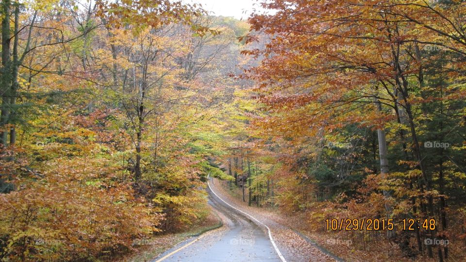 Northern Michigan 