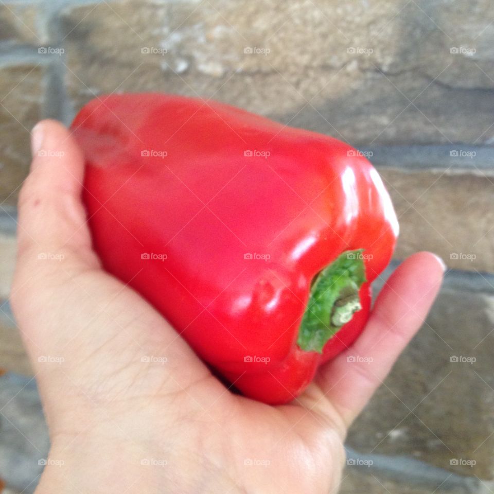 Holding red pepper 