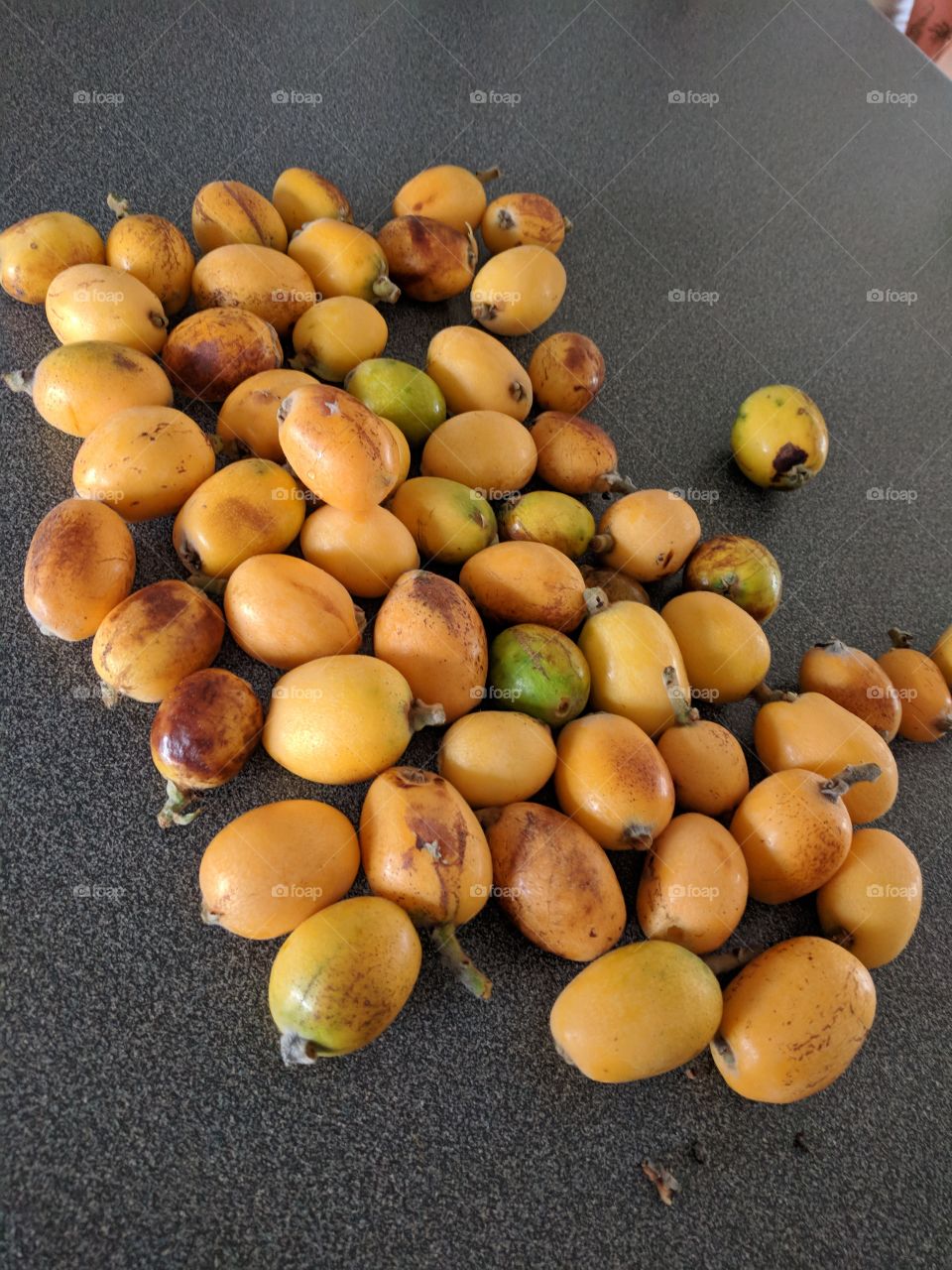 Nothing like growing your own fruit, loquats