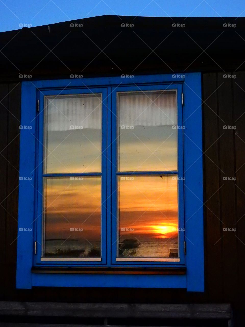 Window reflection 