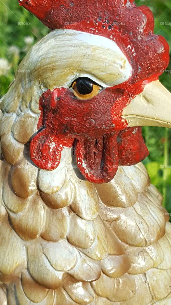 chicken statue