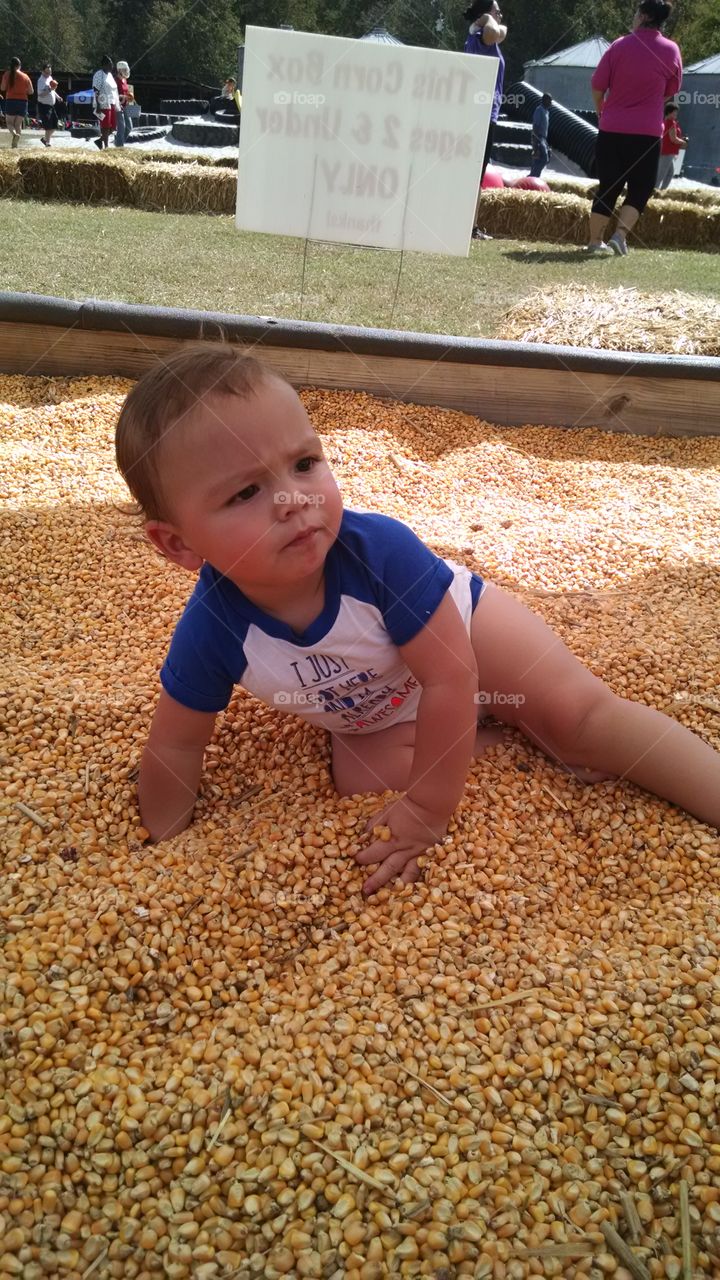 Corn playing