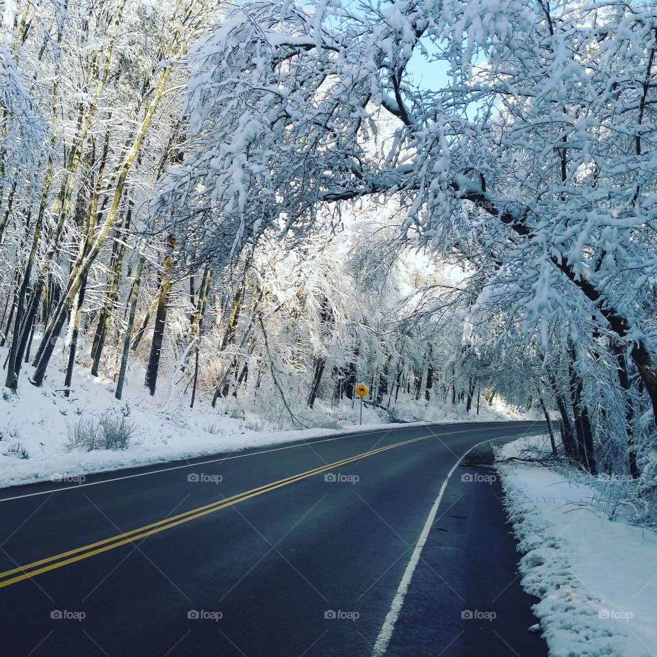 Snowy Road Massachusetts Winter