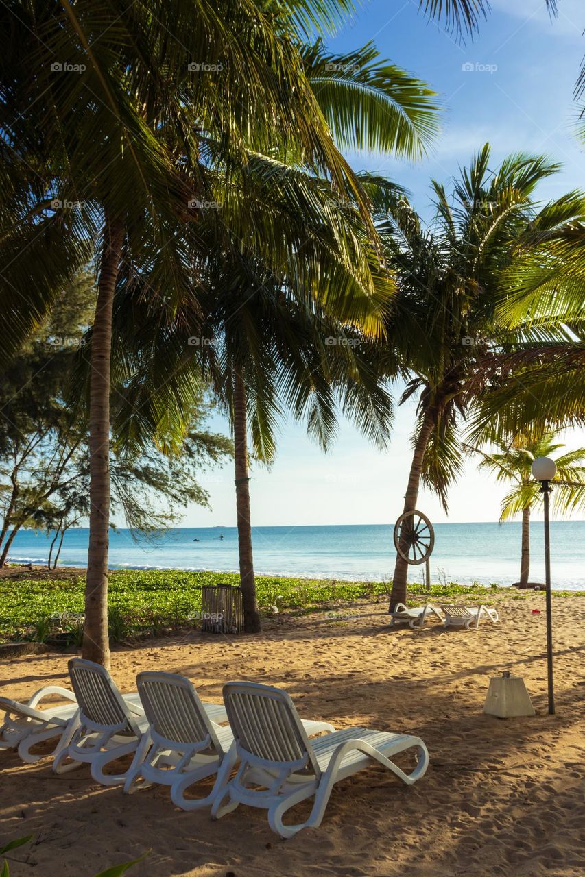 Summer vacation on a golden sunny beach with perfect weather. Relaxing time under the shade of coconut trees.