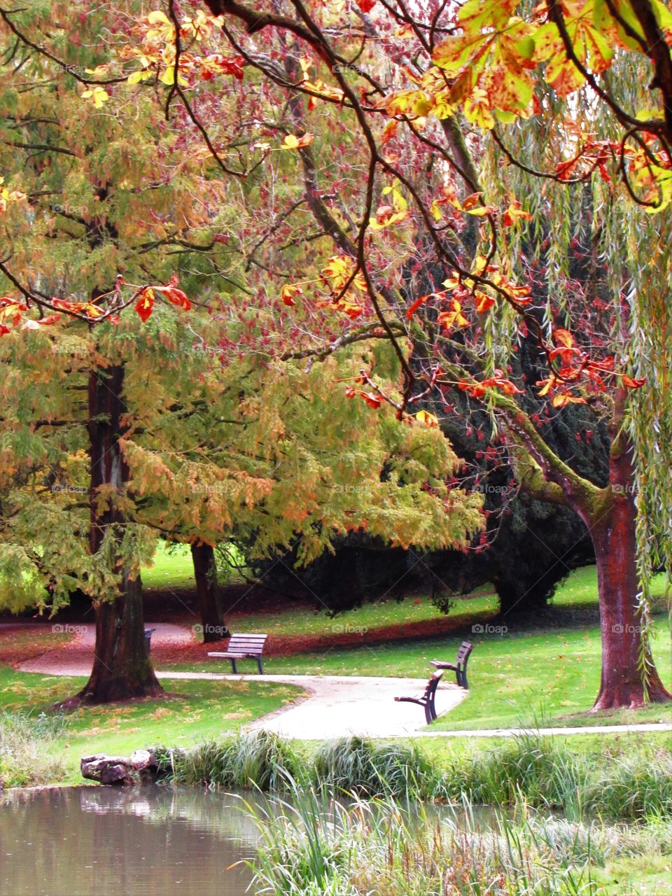 In the park