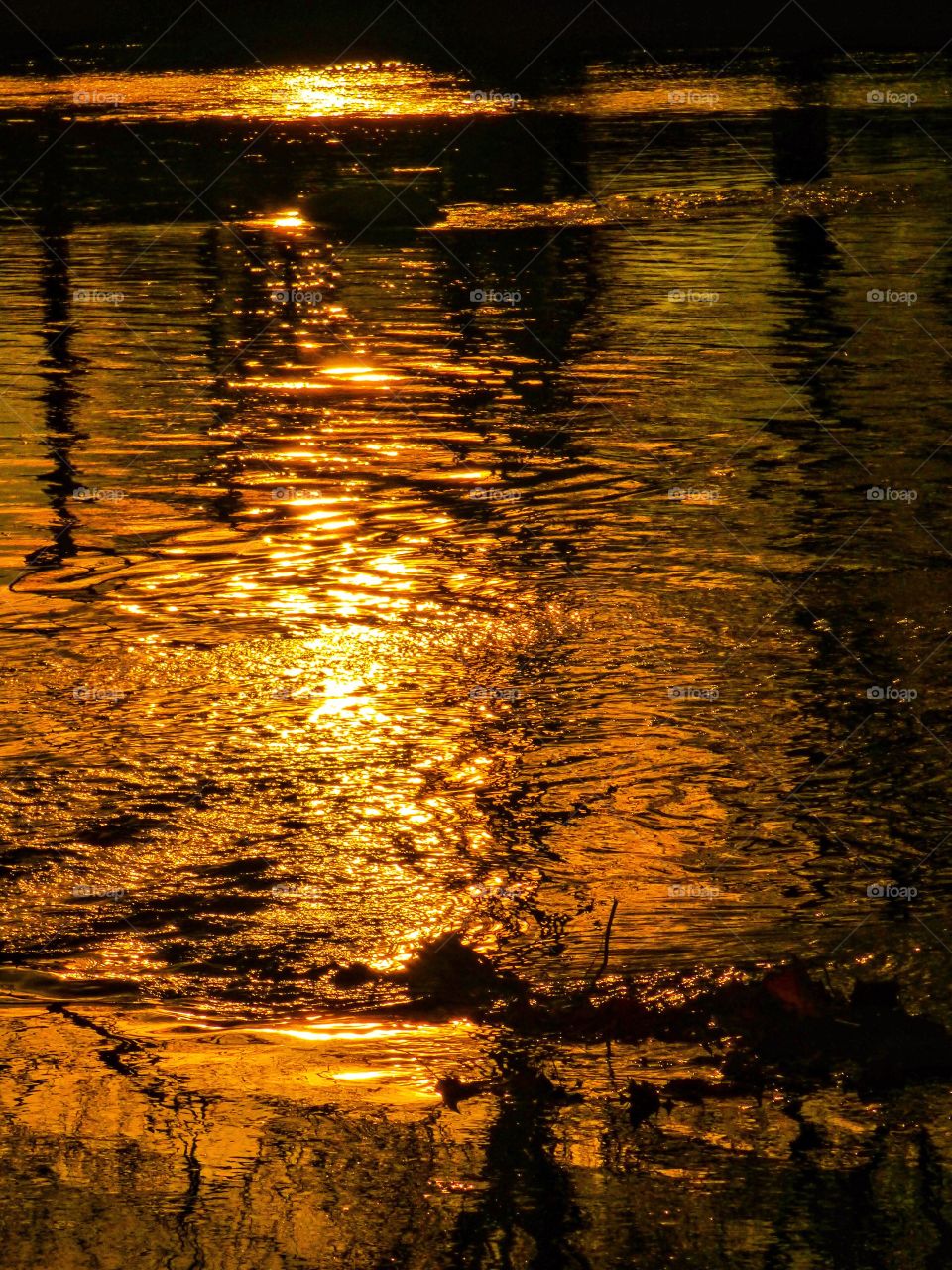 Spring sunset on the white river