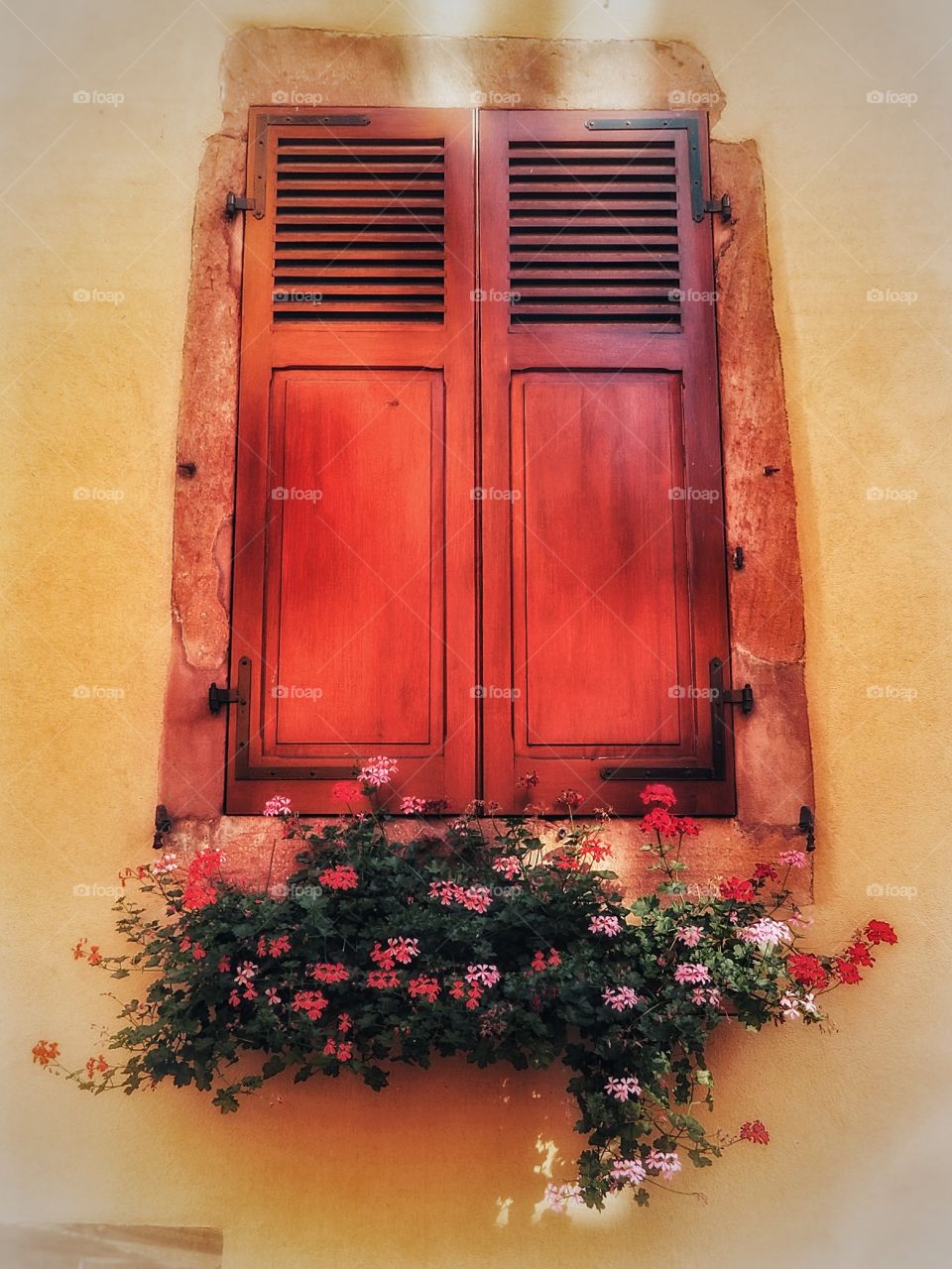 Alsace typical architecture 