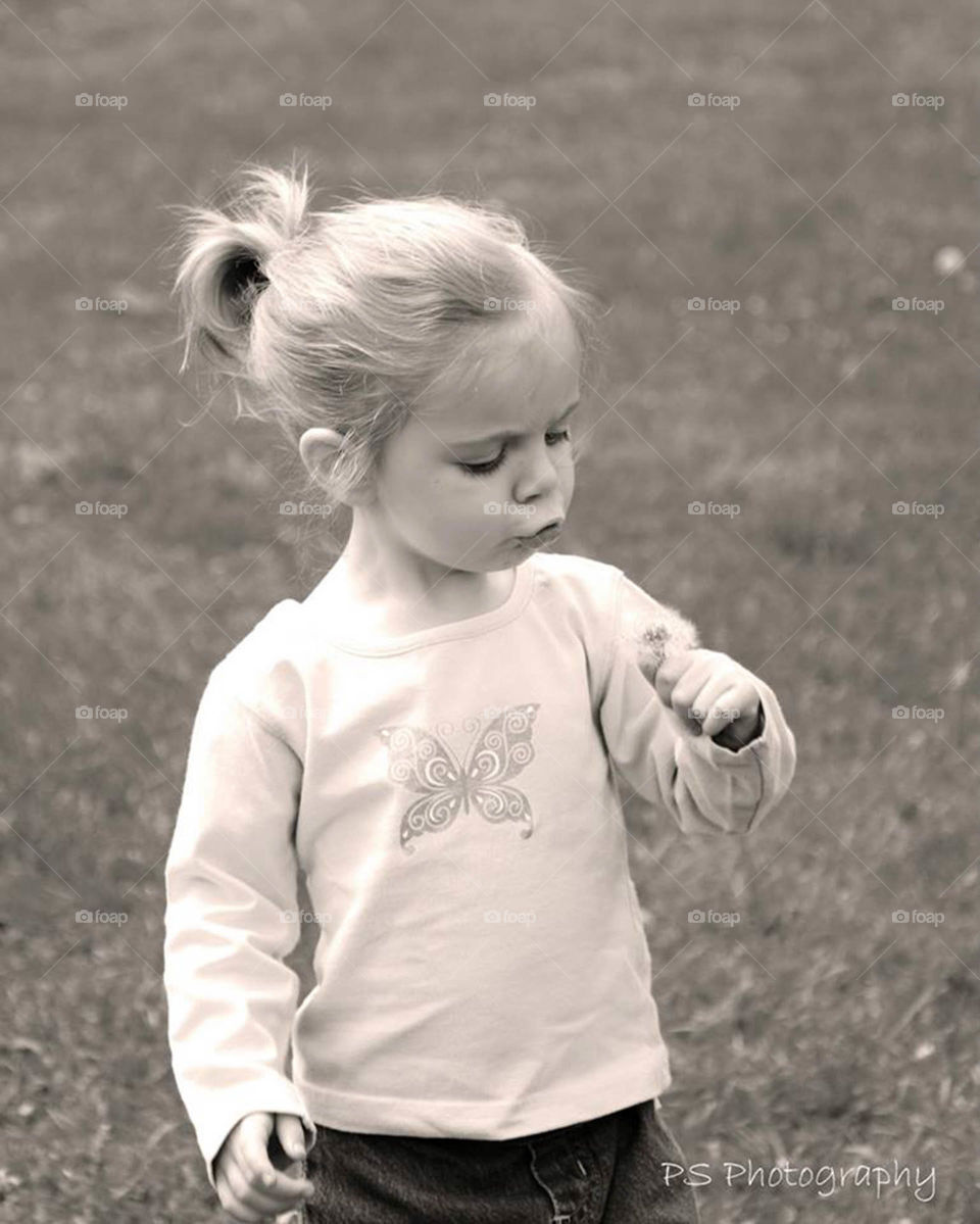 Dandelion girl. Dandy Lion, weeds or flowers?  Beauty is in the eye of the beholder.