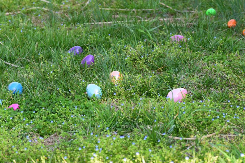 Easter egg on grass